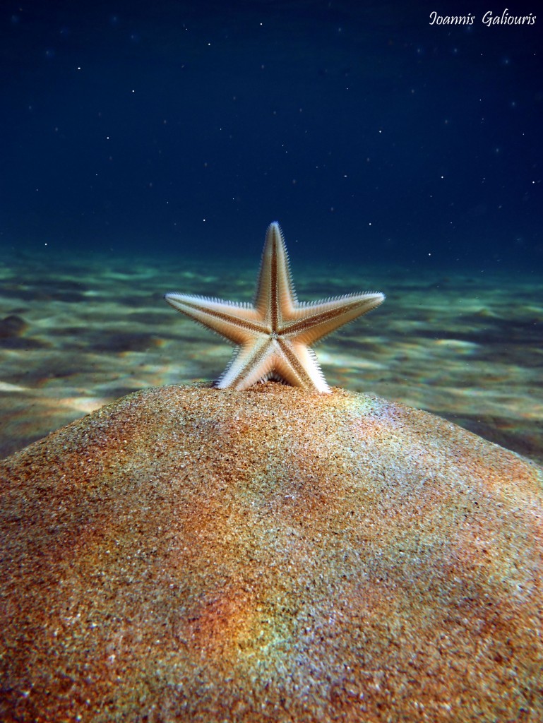 ΔΕΚΕΜΒΡΙΟΣ