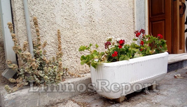 image ΛΗΜΝΟΣ: Δε φαντάζεστε ποιοι και γιατί βάλανε την Ζαρντινιέρα στην είσοδο του κτηρίου της ΕΑΣ Λήμνου, στο λιμάνι της Μύρινας! (φωτο)