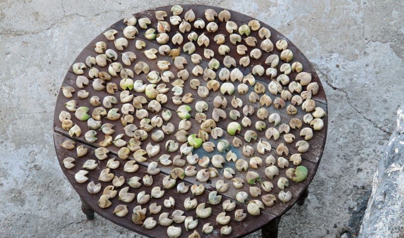 figs-drying-3