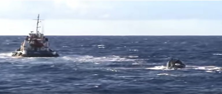 image Βίντεο ντοκουμέντο από την εισβολή των λιμενικών στο πλοίο με τους 6,5 τόνους χασίς!