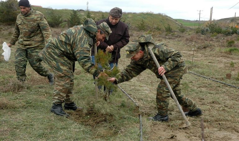 image Λήμνος: Δεντροφύτευση από την 88 ΣΔΙ στην Παναγιά (φωτο)