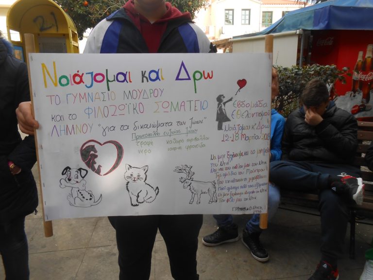 image Το Γυμνάσιο Μούδρου «Νοιάζεται και Δρα»  για τα ζώα (φωτο)