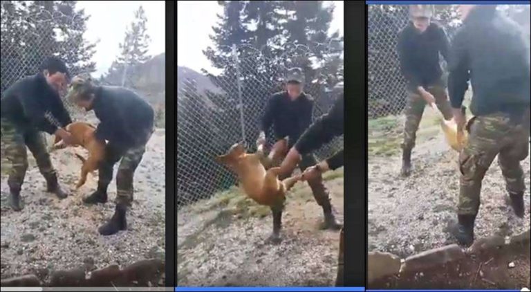 image Βασανισμός σκύλου από στρατιώτες: Από τότε που “βγήκε” το συγγνώμη χάθηκε το φιλότιμο