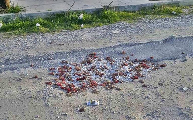 image «Μπάλωσαν» λακκούβες σε δρόμο με σπασμένα πιάτα και γαρύφαλλα από μπουζουξίδικο