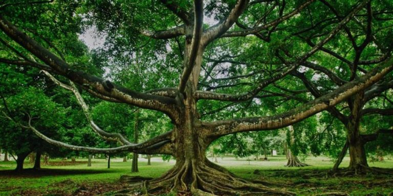 image Πέτρος Κεχαγιάς: Το να είσαι άνθρωπος
