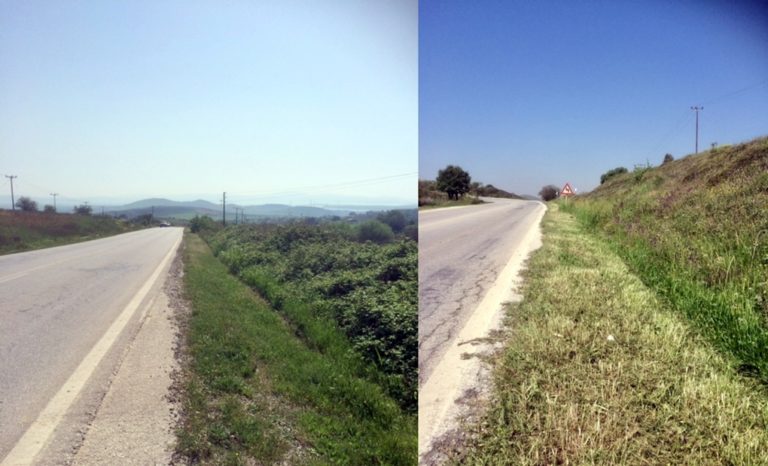 image Προσοχή στους οδηγούς, εργασίες κλαδέματος στο επαρχιακό οδικό δίκτυο της Λήμνου