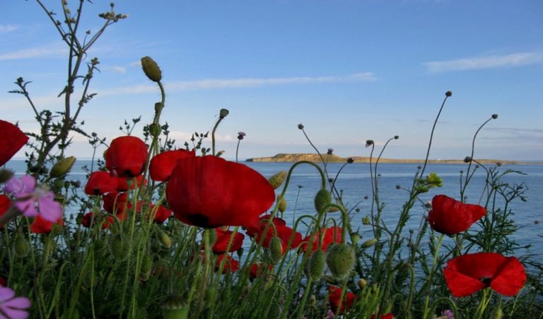 image ΜΠΑΚΛΑΤΖΗΣ ΚΩΝΣΤΑΝΤΙΝΟΣ: Μάης, ο μήνας των λουλουδιών!! Ας τον υποδεχτούμε λοιπόν !!!
