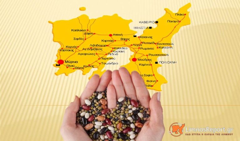 image ΗΜΕΡΙΔΑ: “ΟΣΠΡΙΑ – O κρυμμένος θησαυρός της ΛΗΜΝΟΥ” στο Μαρούλα