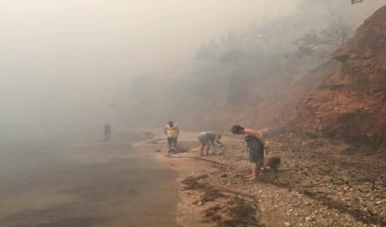 image Έκκληση του Κοινωνικού Φαρμακείου Δήμου Λήμνου για φάρμακα και υγειονομικό υλικό για τους πυρόπληκτους της Αττικής