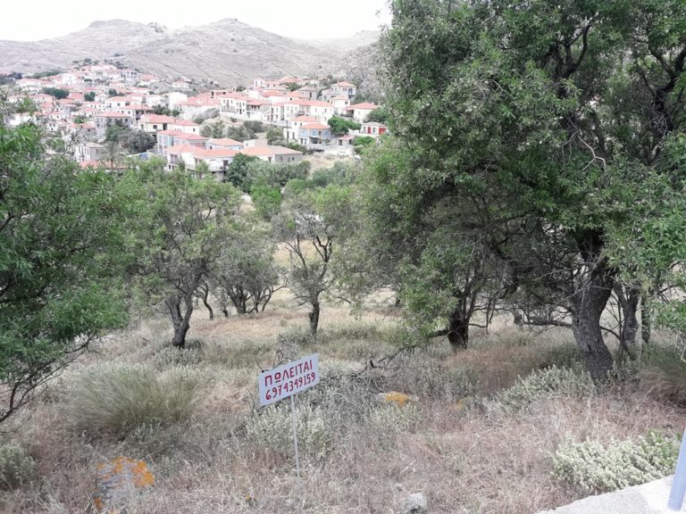image ΤΟΠΙΚΕΣ ΑΓΓΕΛΙΕΣ ΛΗΜΝΟΥ: Πωλείται αγροτεμάχιο στον Άγιο Χαράλαμπο Θάνους