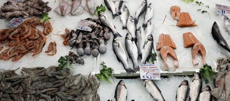 image Αυτά είναι τα επικίνδυνα και τοξικά είδη ψαριών στις ελληνικές θάλασσες