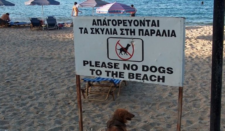 image Φιλοζωικός Σύλλογος Λήμνου: Παράνομες πινακίδες σε παραλίες της Λήμνου – Φυσικά και επιτρέπεται να έχουμε μαζί μας τα σκυλιά στην παραλία