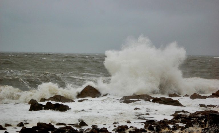 image Λιμεναρχείο Μύρινας: Σύσταση για απομάκρυνση οχημάτων από το “παλιό” λιμάνι Μύρινας.