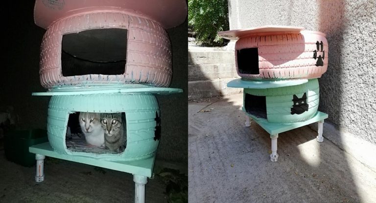 image ΟΤΑΝ ΕΧΕΙΣ ΟΡΕΞΗ ΚΑΙ ΑΓΑΠΗ: Σπιτάκια από λάστιχα αυτοκινήτου για τις αδέσποτες γατούλες στην Λήμνο!!! (φωτο)