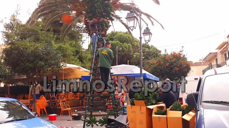 image ΤΩΡΑ! Στήνεται το Χριστουγεννιάτικο δέντρο στην Πλατεία Υψιπύλης (φωτο)