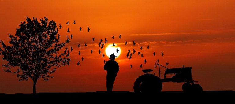 image 51 δικαιούχοι βιοκαλλιεργητές για 46.244,88€ σε Λέσβο και Λήμνο