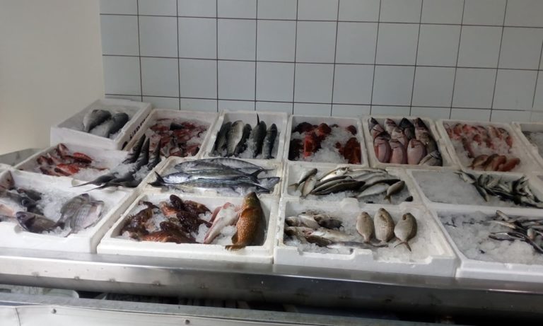 image Ψαρούκλας: Φθηνό σπαρταριστό φρέσκο ψάρι στην Λήμνο!!!