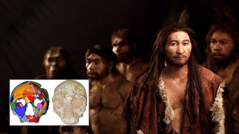 image Σπουδαία ανακάλυψη: Το αρχαιότερο δείγμα Homo Sapiens είναι ελληνικό!