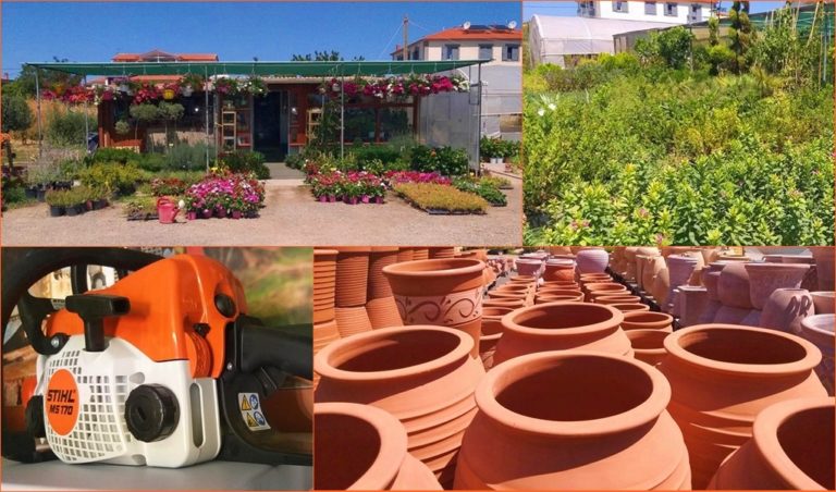 image Φυτώρια Καλλιγερή: Τα πάντα για τον κήπο… στη Λήμνο! (φωτο)