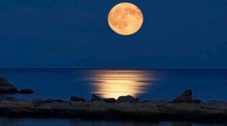 image Επετειακή Συναυλία 25 ετών λειτουργίας του Μουσικού Εργαστηρίου Λήμνου.Σάββατο 9 Αυγούστου, στις 20.00, στον Αρχαιολογικό Χώρο της Πολιόχνης. 