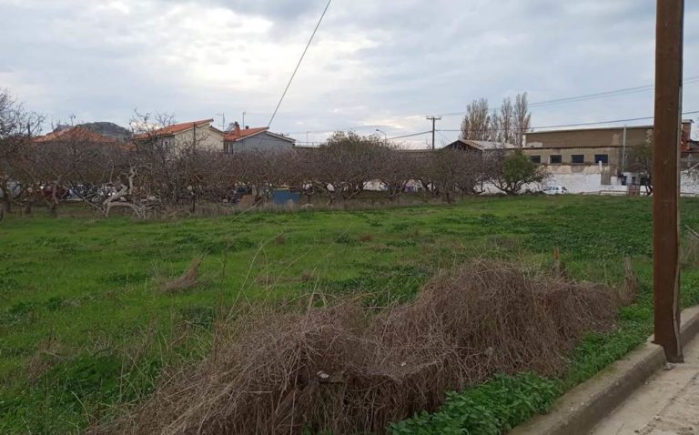 image Τσουχτερά πρόστιμα για ακαθάριστα οικόπεδα!1000ευρώ σε όποιον δεν υποβάλει υπ. δήλωση “εκπλήρωσης καθηκόντων”!