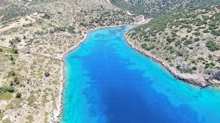 image Ένα «πράσινο» νοσοκομείο για δελφίνια στους Λειψούς.