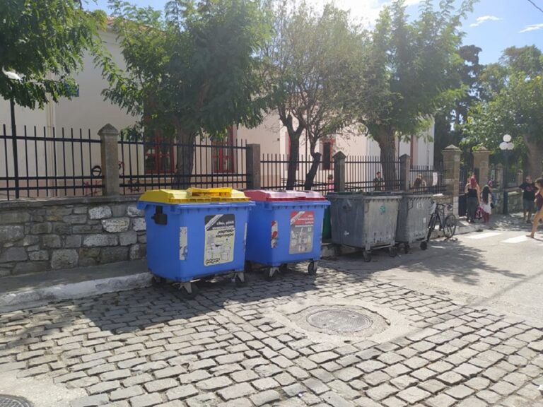 image Κρέτσης Βασίλης: Το 3ο Δημοτικό …..τα αυτοκίνητα ….οι κάδοι …οι γάτες…και το κακό συναπάντημα..(φωτο)..