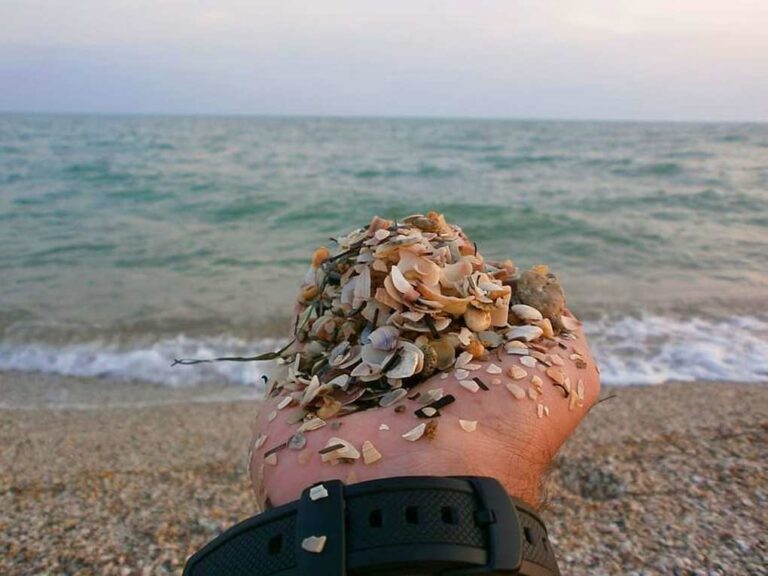 image Μπακλατζής Κων/νος: Πνιγμένο Χαμόγελο…