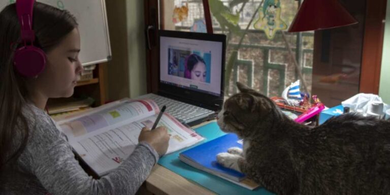 image ΕΛΜΕ Λήμνου: “Για την απόφαση του Δήμου να κλείσει τα σχολεία  λόγω καιρού και για την «τηλεκπαίδευση»”