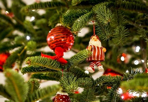 image XMAS Party στα Τσιμάνδρια Λήμνου: Μια γιορτινή βραδιά για μικρούς και μεγάλους, Κυριακή 7 Δεκεμβρίου, 18:00