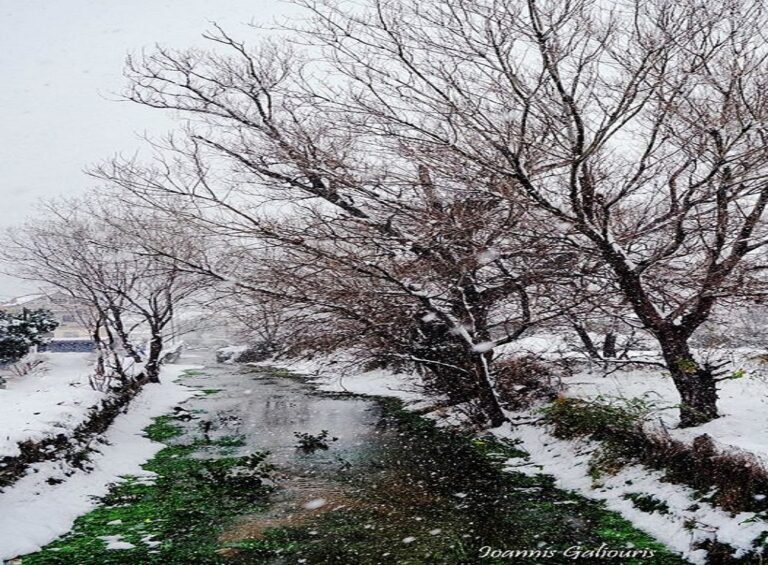 image Στα  λευκά ξύπνησε η Λήμνος …..χωρίς προβλήματα εξελίσσεται η “Μήδεια”.