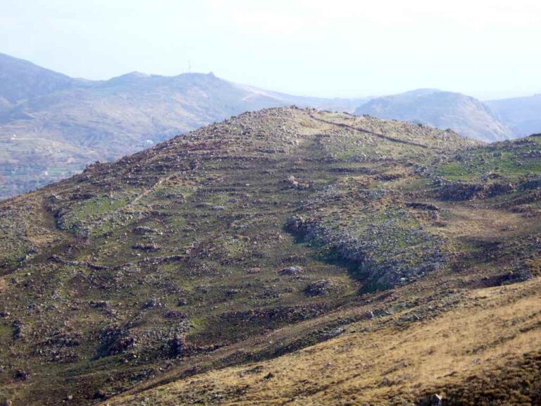 image Λήμνος: Περί Δασικών Χαρτών ο Λόγος….