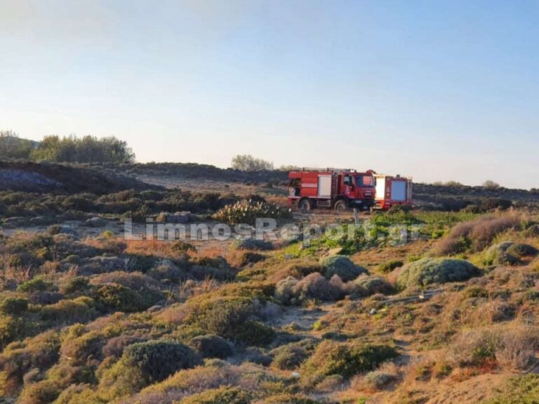 image Π.Υ. Μύρινας: Καθολική απαγόρευση ανάμματος φωτιάς στην ύπαιθρο,  έως και 15 Νοεμβρίου .