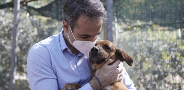 image Μητσοτάκης από το καταφύγιο Ηλιούπολης: Ανοίξτε την αγκαλιά και σώστε ένα αδέσποτο