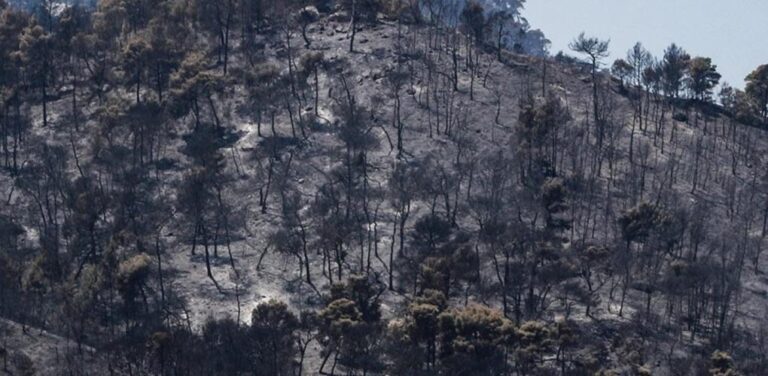 image Συγκλονιστικές εικόνες σε βίντεο από drone μετά την καταστροφή σε Σχίνο και Γεράνεια Όρη