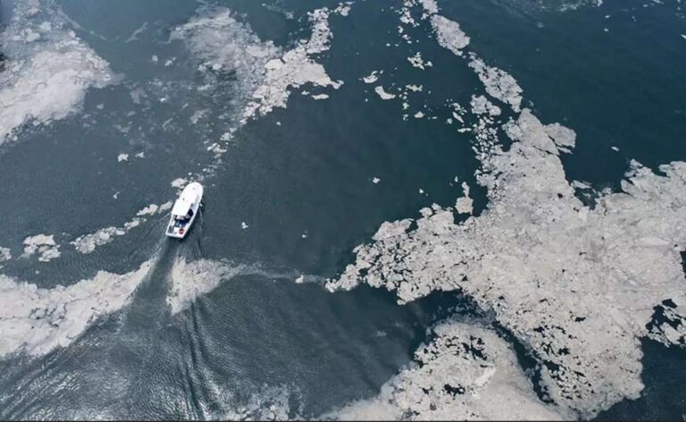 image Συναγερμός στο Βόρειο Αιγαίο για τη βλέννη