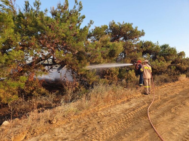 image 1η Μαΐου: Έναρξη αντιπυρικής περίοδος έως 31η Οκτωβρίου.