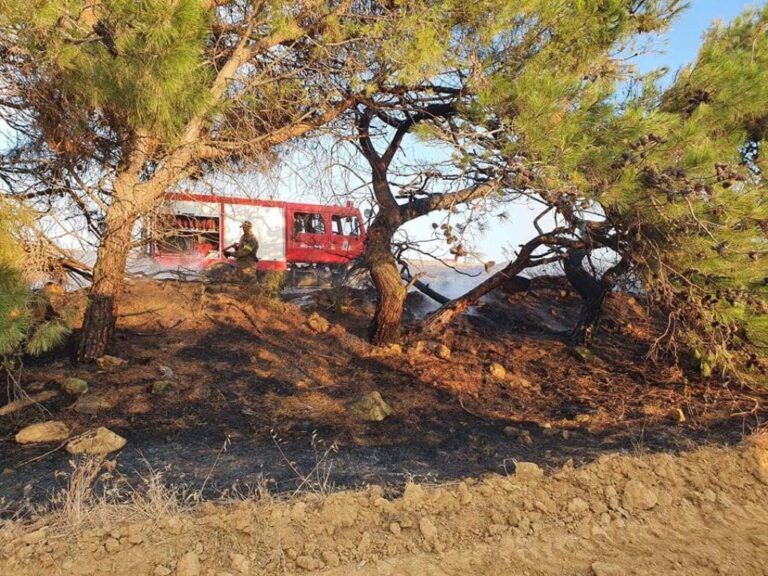 image Πολύ υψηλός κίνδυνος πυρκαγιάς στην Λήμνο, αυξημένη ετοιμότητα, τι να προσέχουν οι πολίτες.