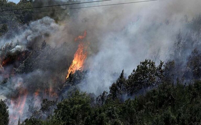 image Περιφερειακής Πυροσβεστικής Διοίκησης Βορείου Αιγαίου : Aπαγορεύεται αυστηρά η καύση υπολειμμάτων γεωργίας στο σύνολο των νήσων  της Περιφέρειας Βορείου Αιγαίου.