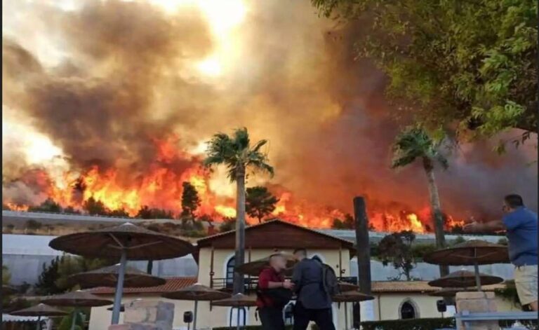 image Φωτιά στην Αχαΐα: Συνεχίζεται η μάχη με τις φλόγες – 16 άνθρωποι στο νοσοκομείο (βιντεο-φωτο)
