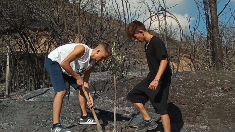 image Εικόνα ελπίδας -Δύο 15χρονα παιδιά φυτεύουν συμβολικά μια ελιά στον καμένο λόφο της Αρχαίας Ολυμπίας (φωτο)
