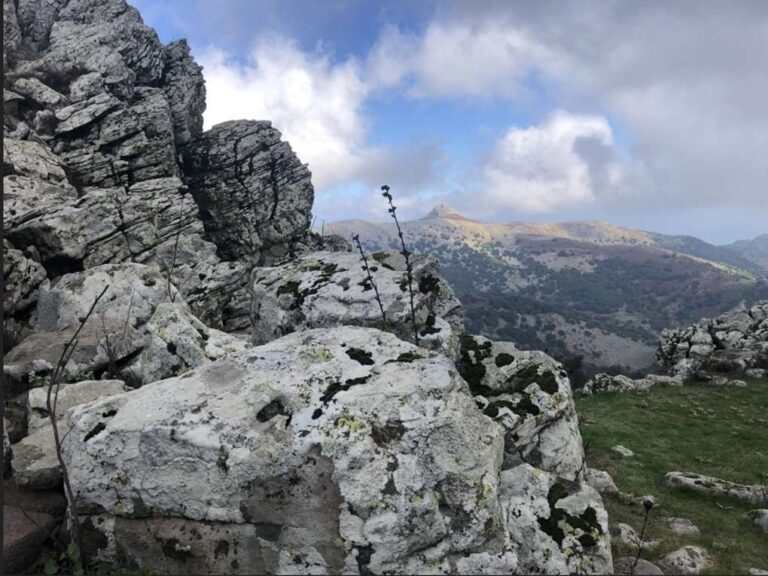 image Λέσβος: Ηφαιστειακές εκρήξεις πριν από εκατομμύρια χρόνια «έχτισαν» την άγρια ομορφιά του τοπίου