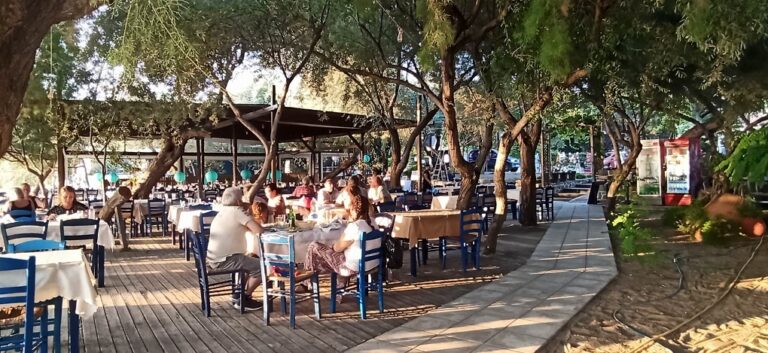 image Ταβέρνα «Τζιτζιφιές» στα “Ρηχά  νερά” Ελληνική κουζίνα σε μαγική τοποθεσία πάνω στην θάλασσα!