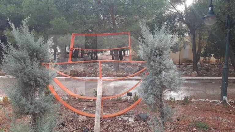 image Χίος: Ελεγχος κατόπιν εντολής της Οικονομικής Αστυνομίας στην “Κιβωτό του Κόσμου”
