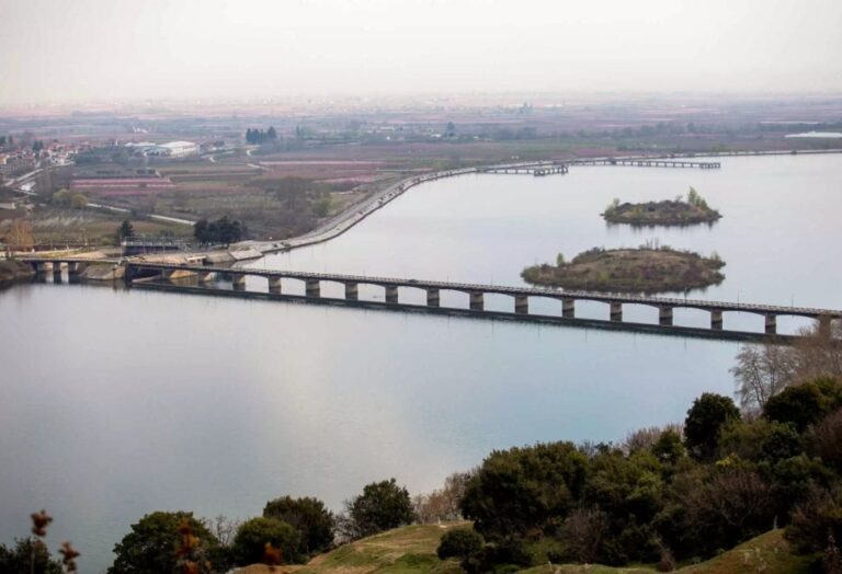 image Βέροια: Μητέρα σκότωσε το 11 μηνών μωρό της και πήγε σε ξενοδοχείο – Πώς ξεσκεπάστηκε το έγκλημα
