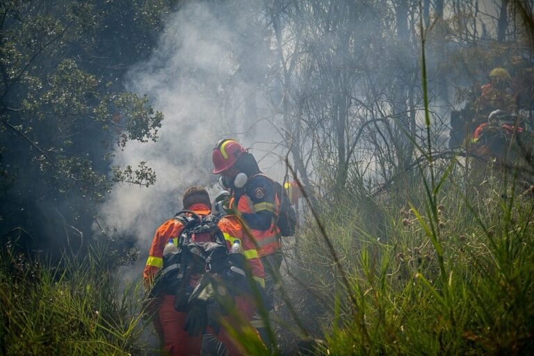 image Σε εξέλιξη η πυρκαγιά στη Χίο – Ισχυρές δυνάμεις στο έργο κατάσβεσής της, προκλήθηκε από τροχαίο ατύχημα
