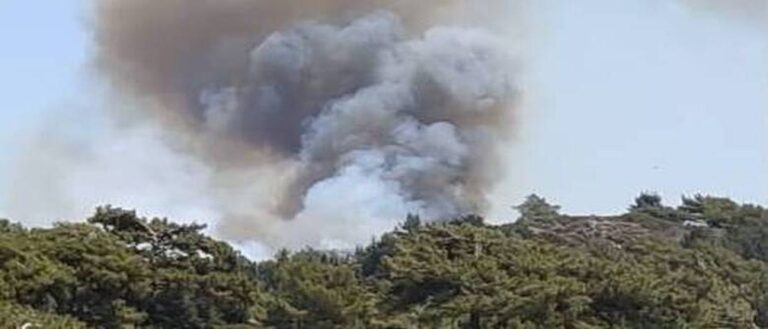 image Φωτιά στη Ρόδο: Ανέλεγκτες οι φλόγες, πολιορκούν δύο «μέτωπα» στο κέντρο – Εκκενώνονται τρία χωριά(φωτο)
