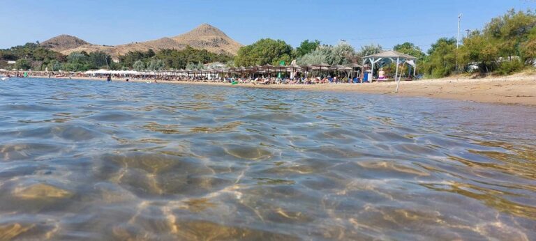 image Λαγουβάρδος για καύσωνα «Κλέων»: Τριήμερο επικίνδυνων θερμοκρασιών για την ανθρώπινη υγεία