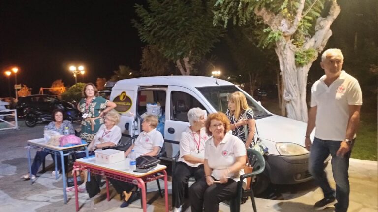 image Δράσεις Περιφερειακού  τμήματος  Ε.Ε.Σ. Λήμνου.