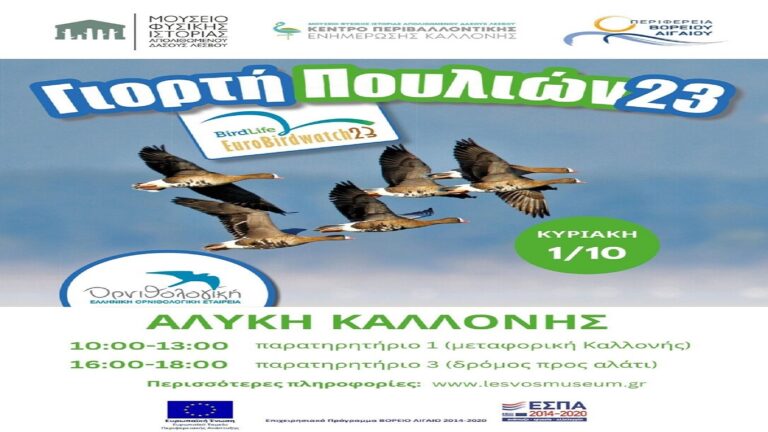 image Ευρωπαϊκή Γιορτή Πουλιών 2023 στην Αλυκή Καλλονής